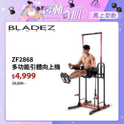 【BLADEZ】ZF2868 可折收多功能引體向上機